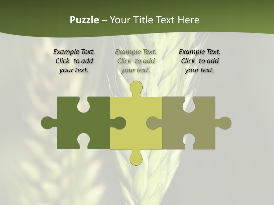 Grain Green Bread PowerPoint Template