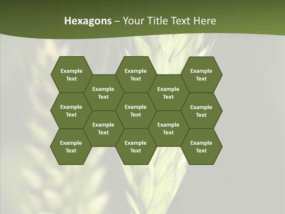 Grain Green Bread PowerPoint Template