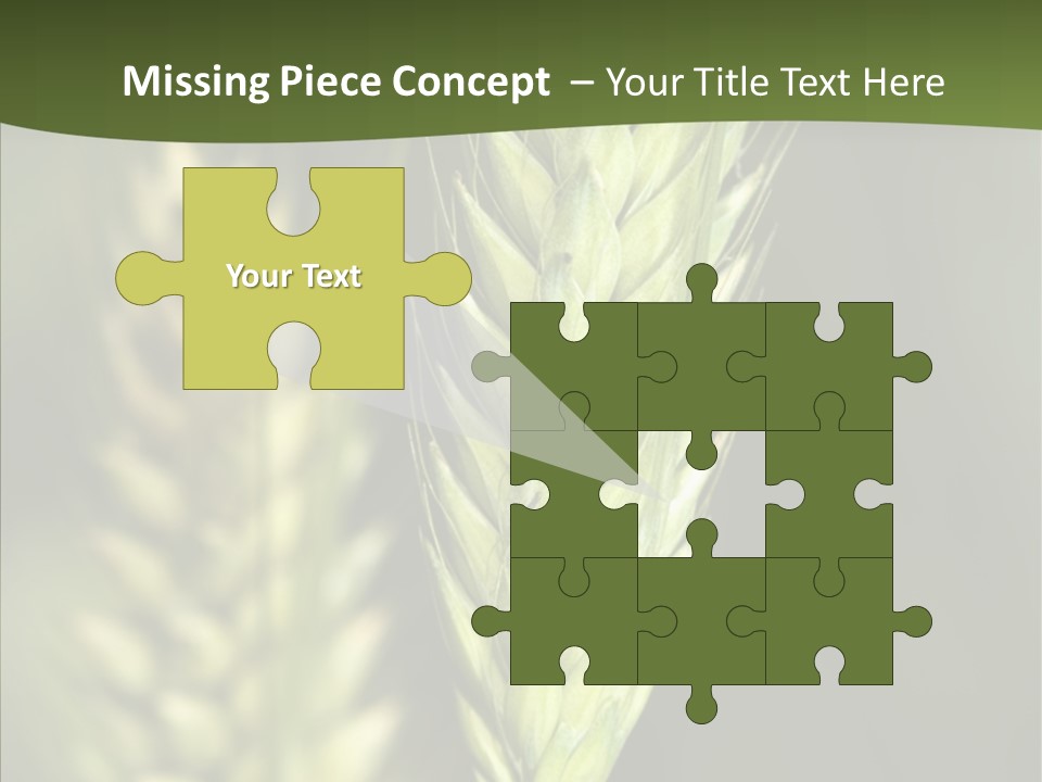 Grain Green Bread PowerPoint Template