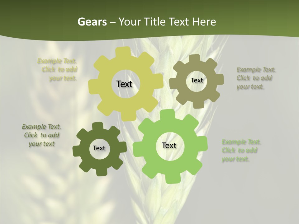 Grain Green Bread PowerPoint Template