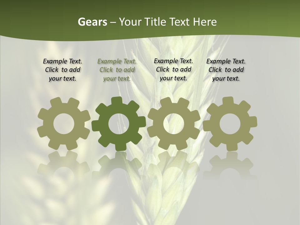 Grain Green Bread PowerPoint Template