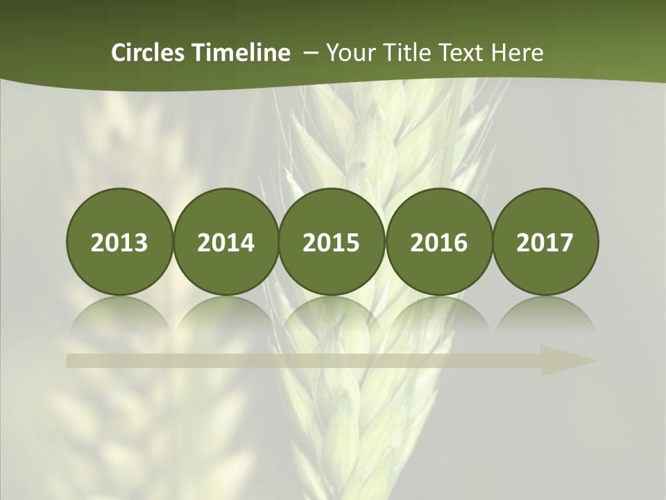 Grain Green Bread PowerPoint Template