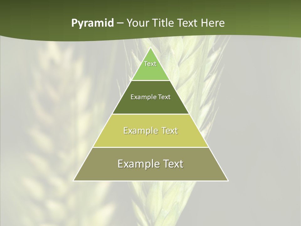 Grain Green Bread PowerPoint Template