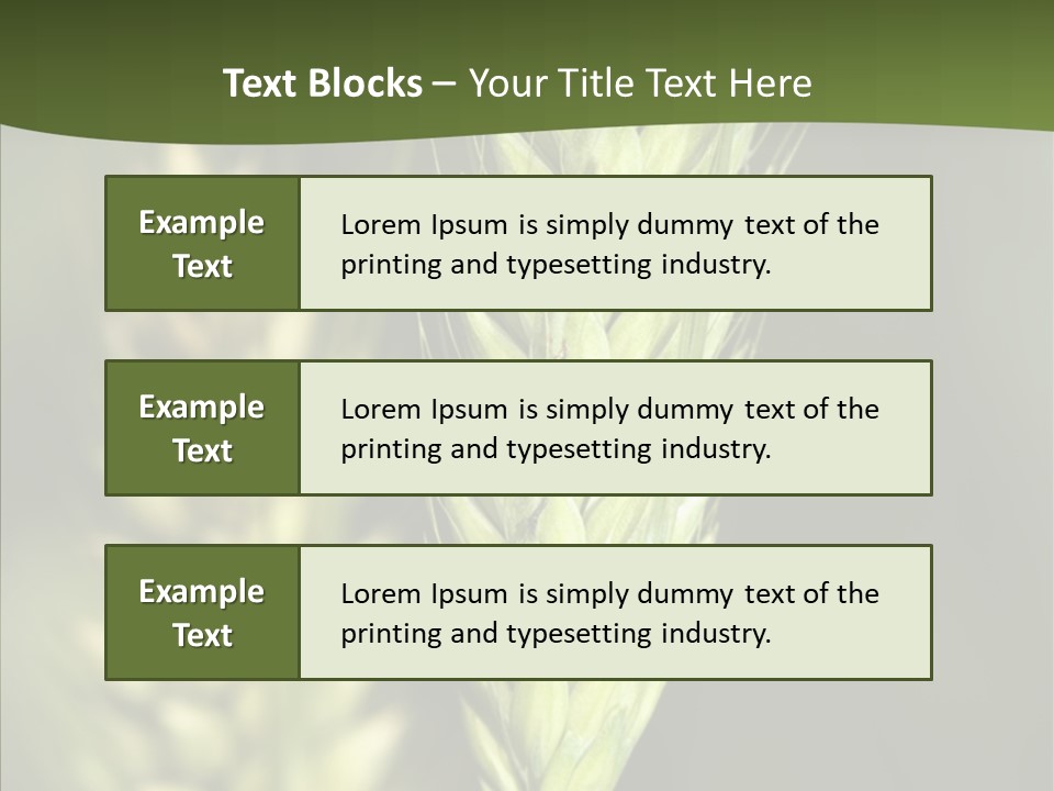 Grain Green Bread PowerPoint Template