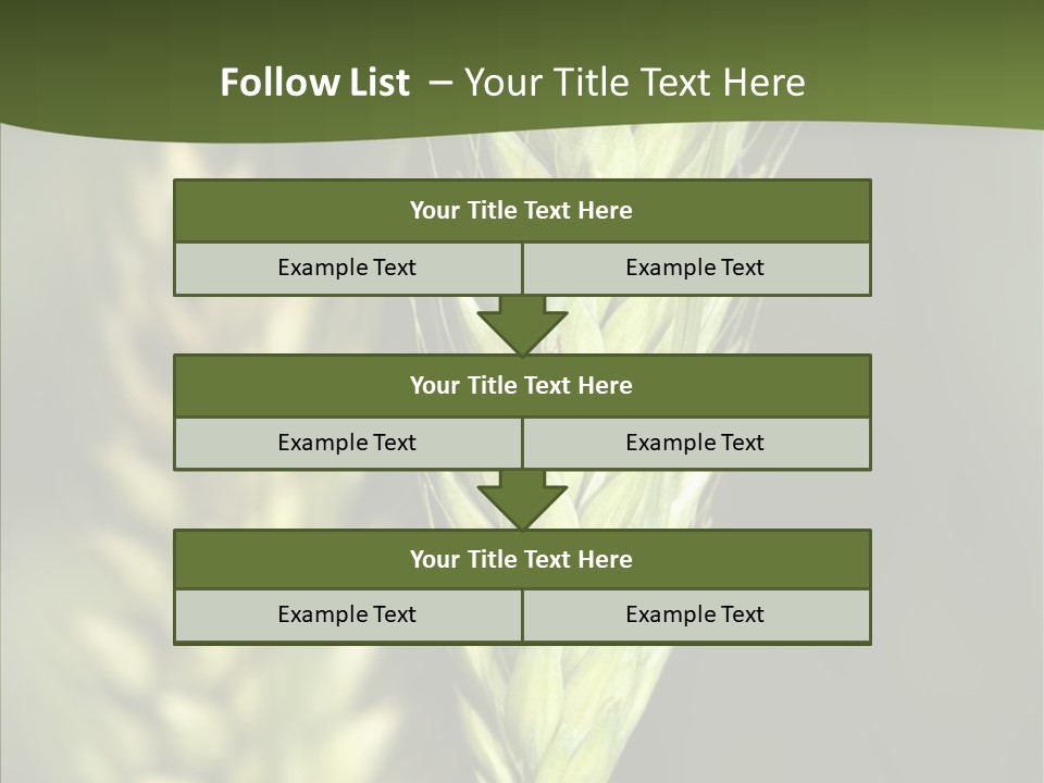 Grain Green Bread PowerPoint Template