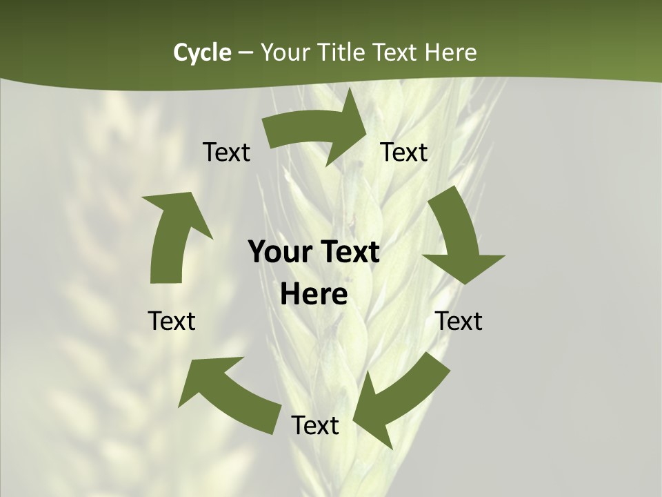 Grain Green Bread PowerPoint Template