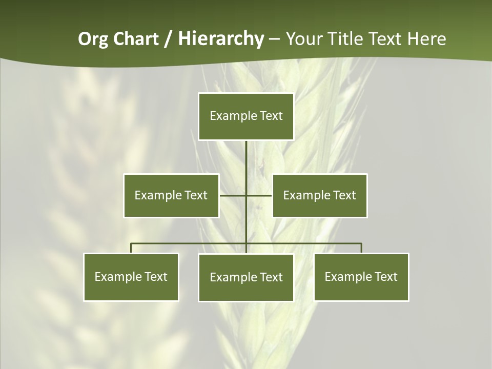 Grain Green Bread PowerPoint Template