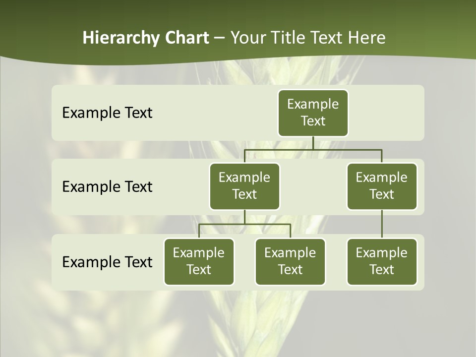Grain Green Bread PowerPoint Template