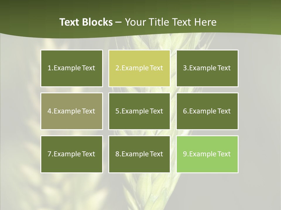 Grain Green Bread PowerPoint Template