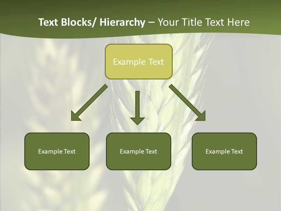 Grain Green Bread PowerPoint Template