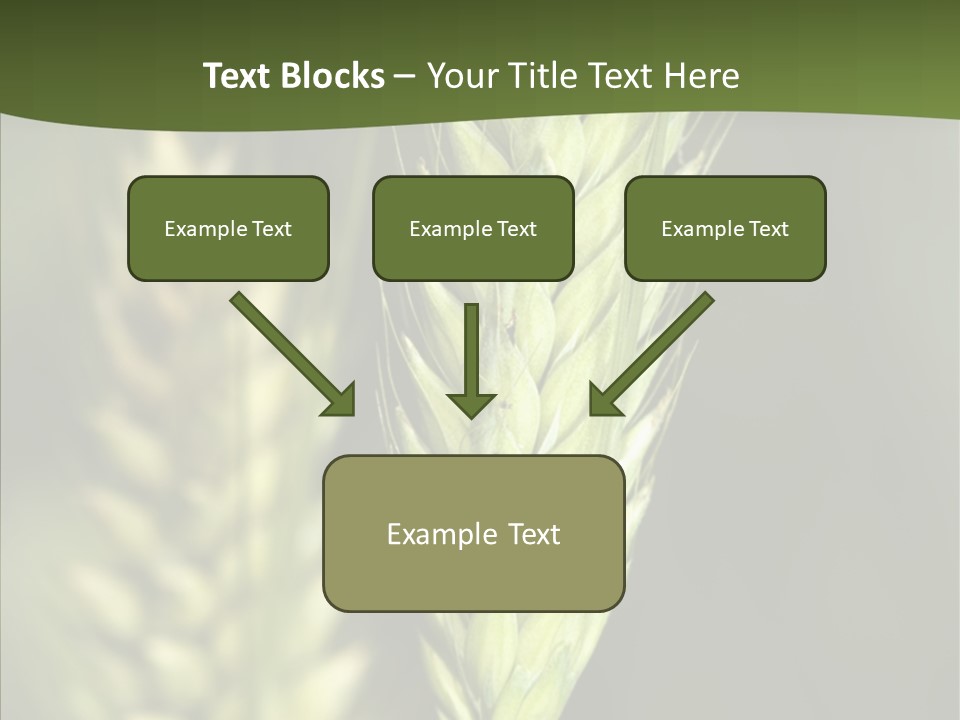 Grain Green Bread PowerPoint Template