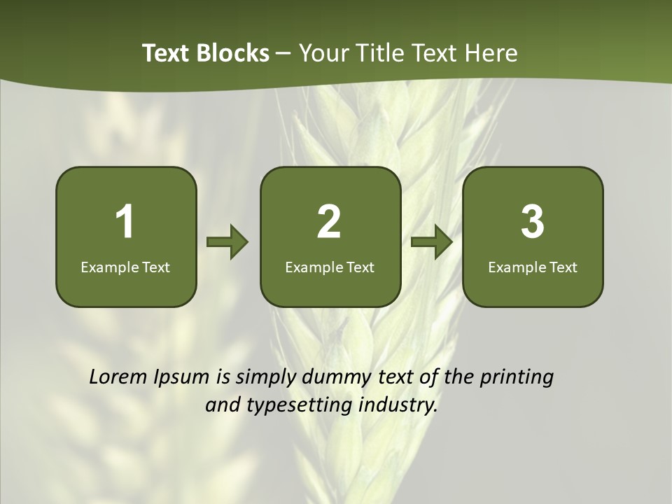 Grain Green Bread PowerPoint Template