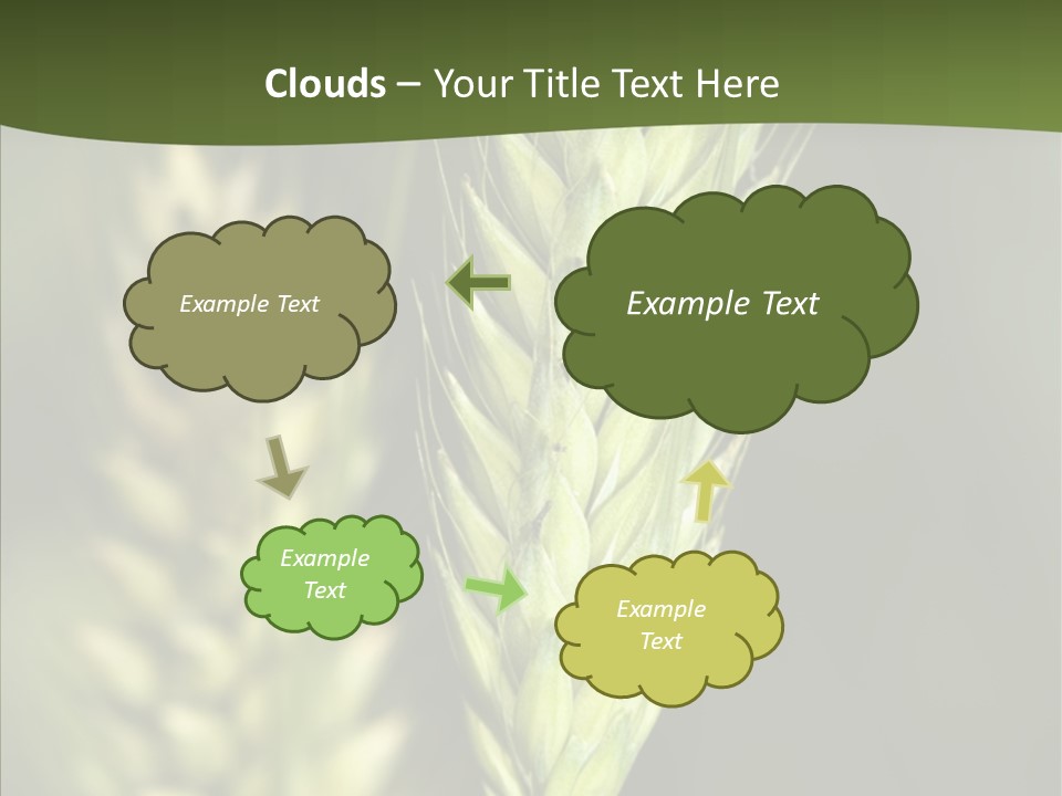 Grain Green Bread PowerPoint Template