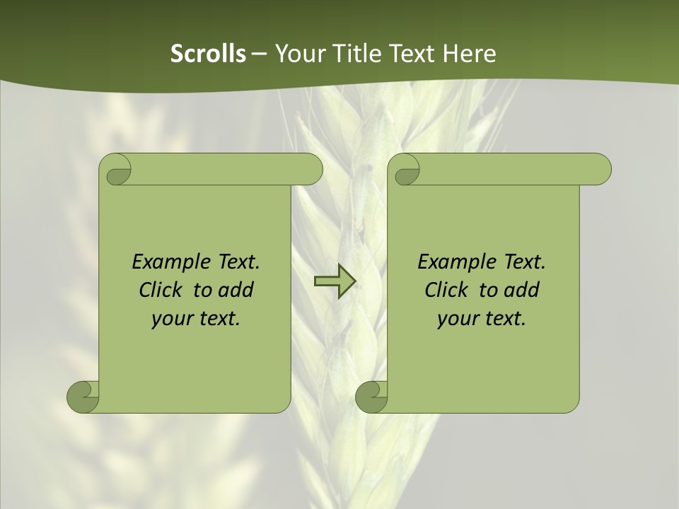 Grain Green Bread PowerPoint Template