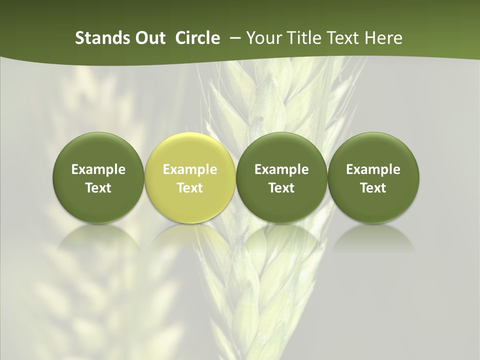 Grain Green Bread PowerPoint Template