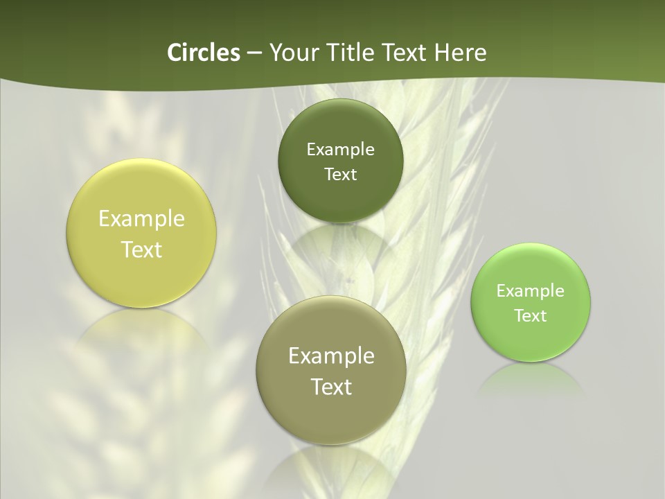 Grain Green Bread PowerPoint Template