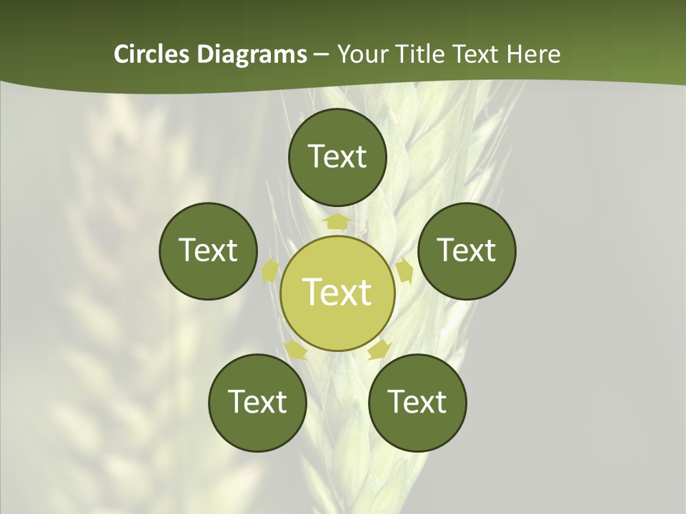 Grain Green Bread PowerPoint Template