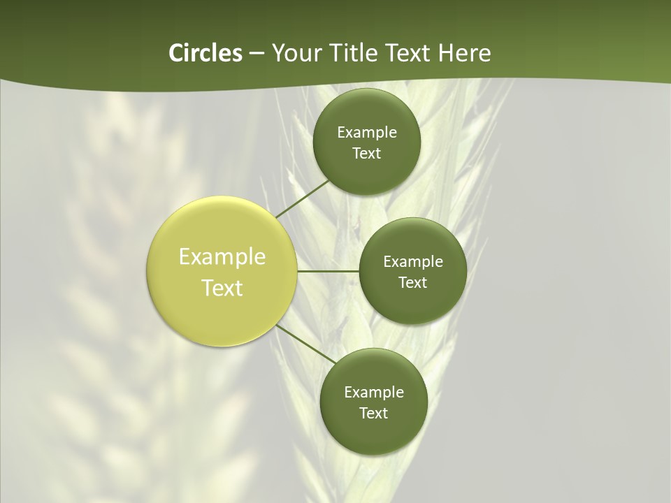 Grain Green Bread PowerPoint Template