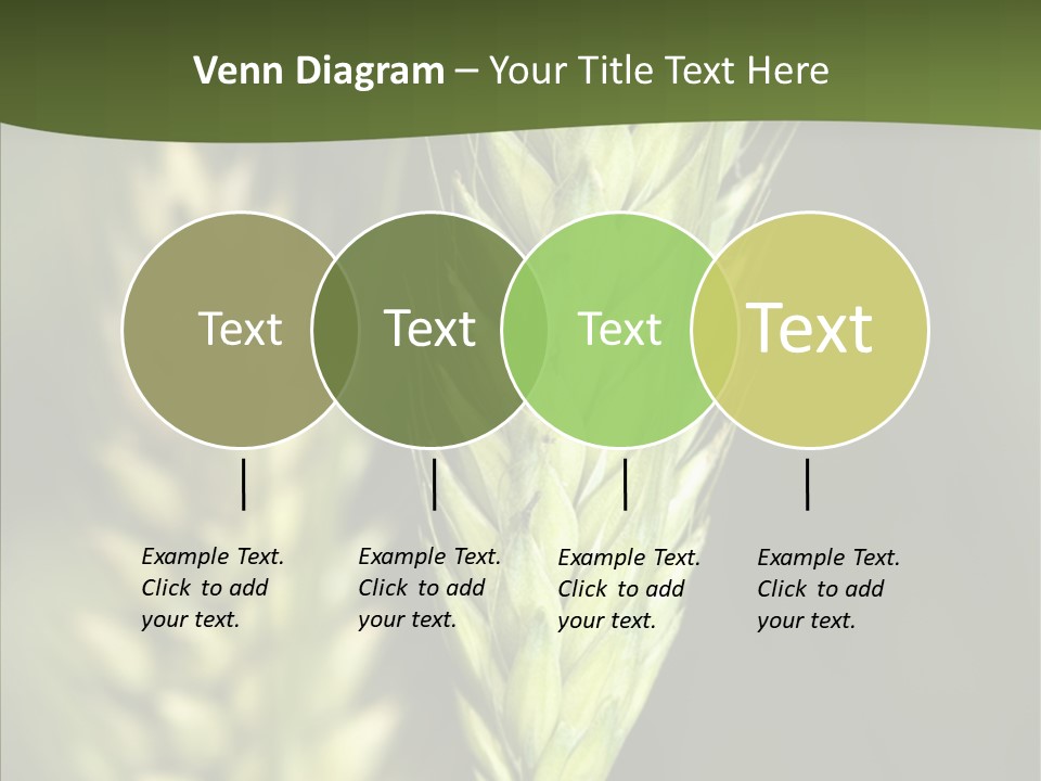 Grain Green Bread PowerPoint Template