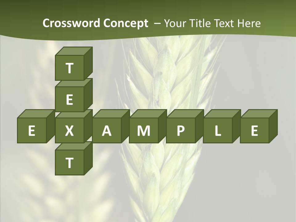 Grain Green Bread PowerPoint Template