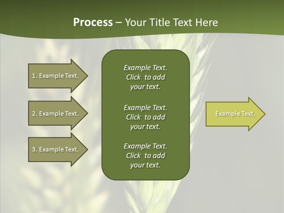 Grain Green Bread PowerPoint Template