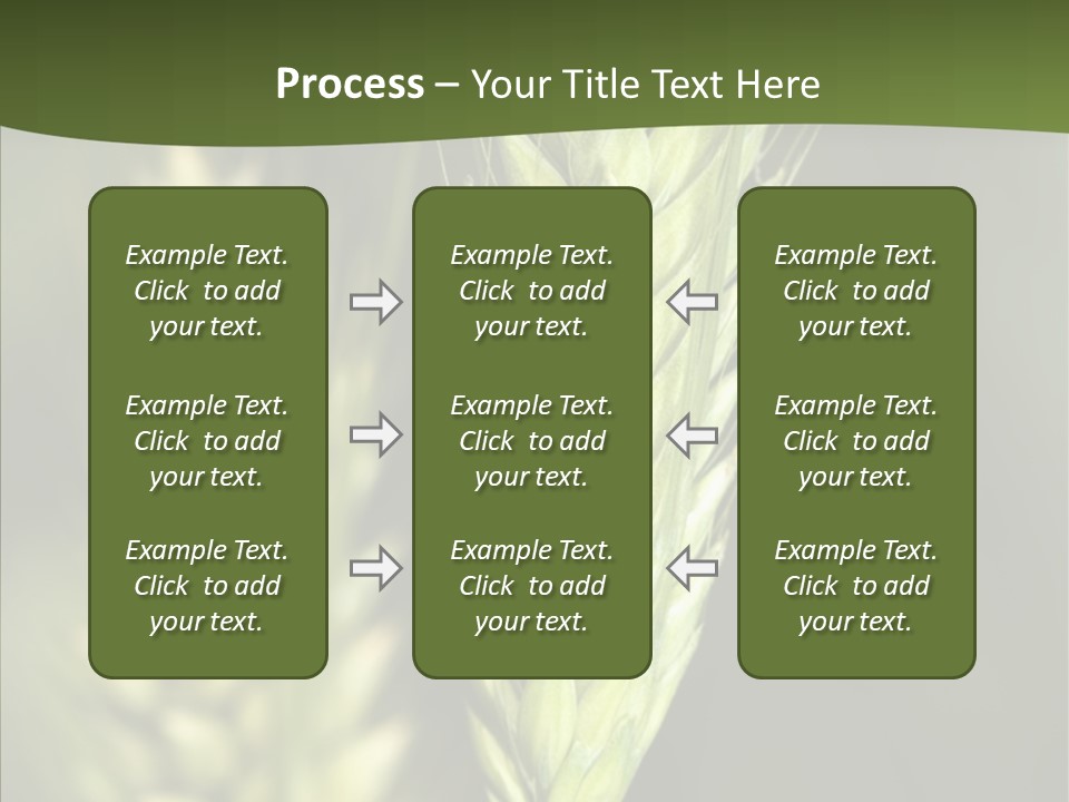Grain Green Bread PowerPoint Template