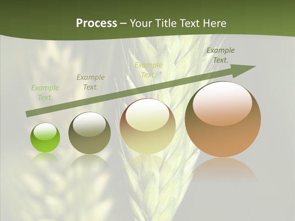 Grain Green Bread PowerPoint Template