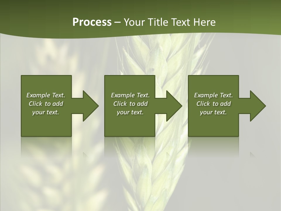 Grain Green Bread PowerPoint Template