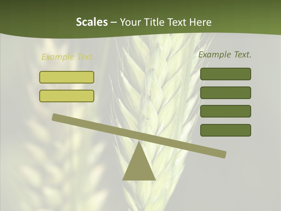 Grain Green Bread PowerPoint Template