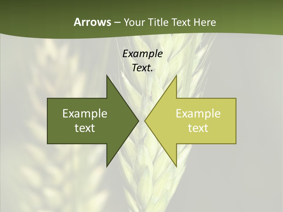 Grain Green Bread PowerPoint Template