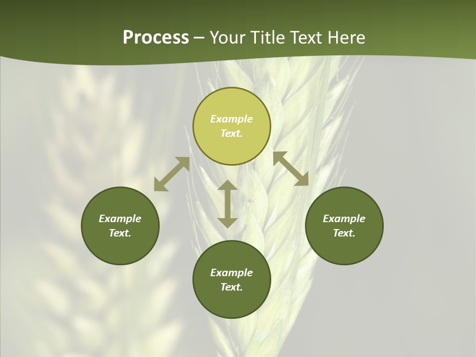 Grain Green Bread PowerPoint Template