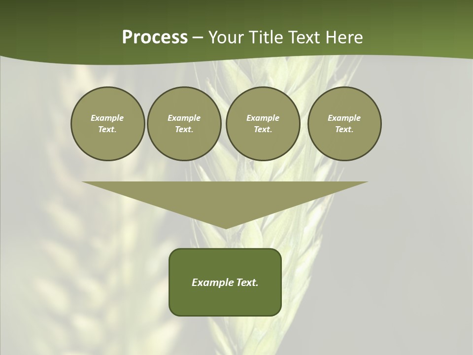 Grain Green Bread PowerPoint Template