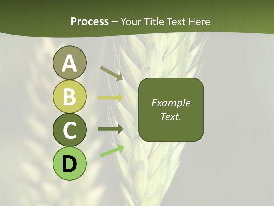 Grain Green Bread PowerPoint Template