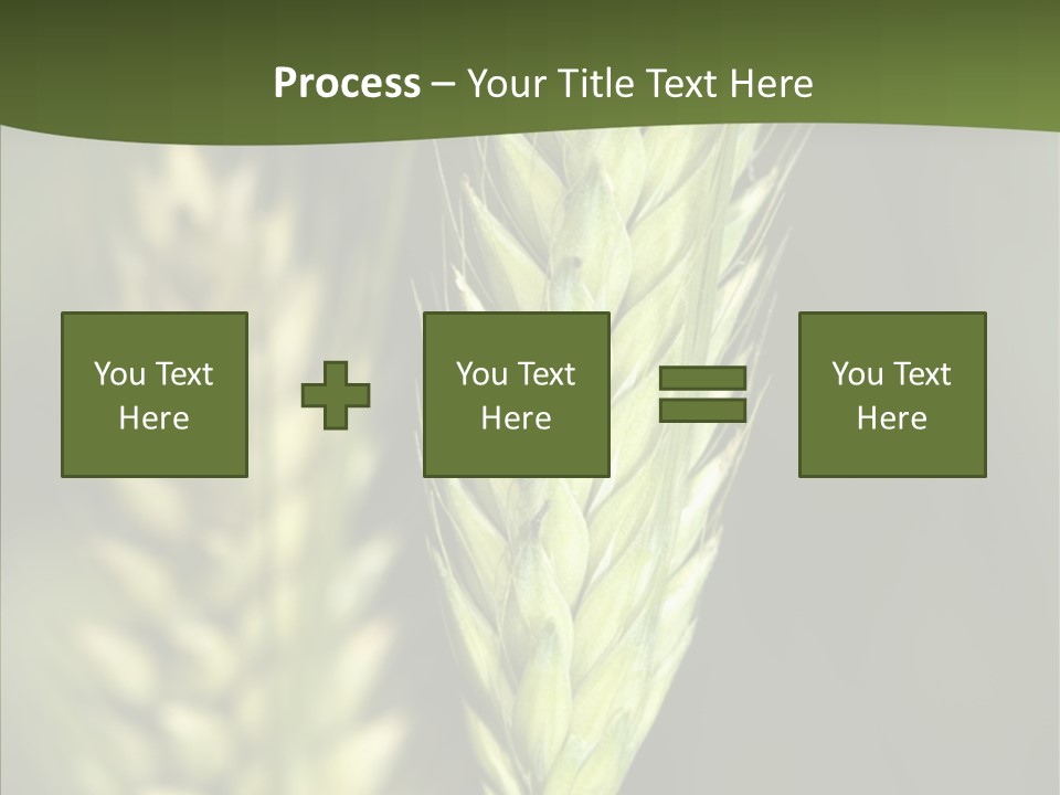 Grain Green Bread PowerPoint Template
