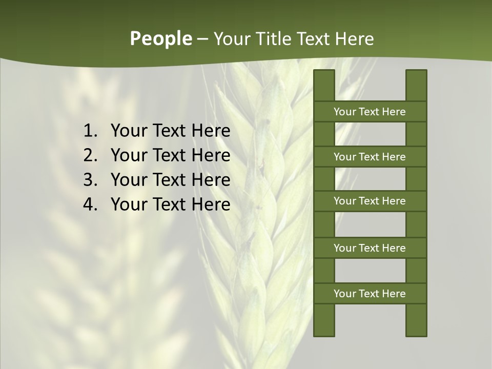 Grain Green Bread PowerPoint Template