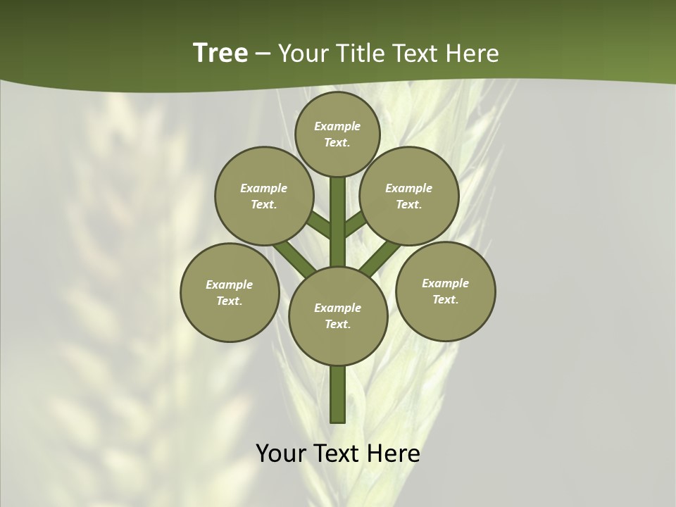 Grain Green Bread PowerPoint Template