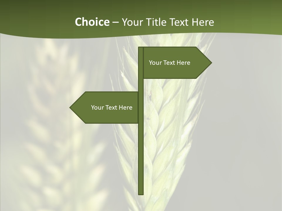 Grain Green Bread PowerPoint Template