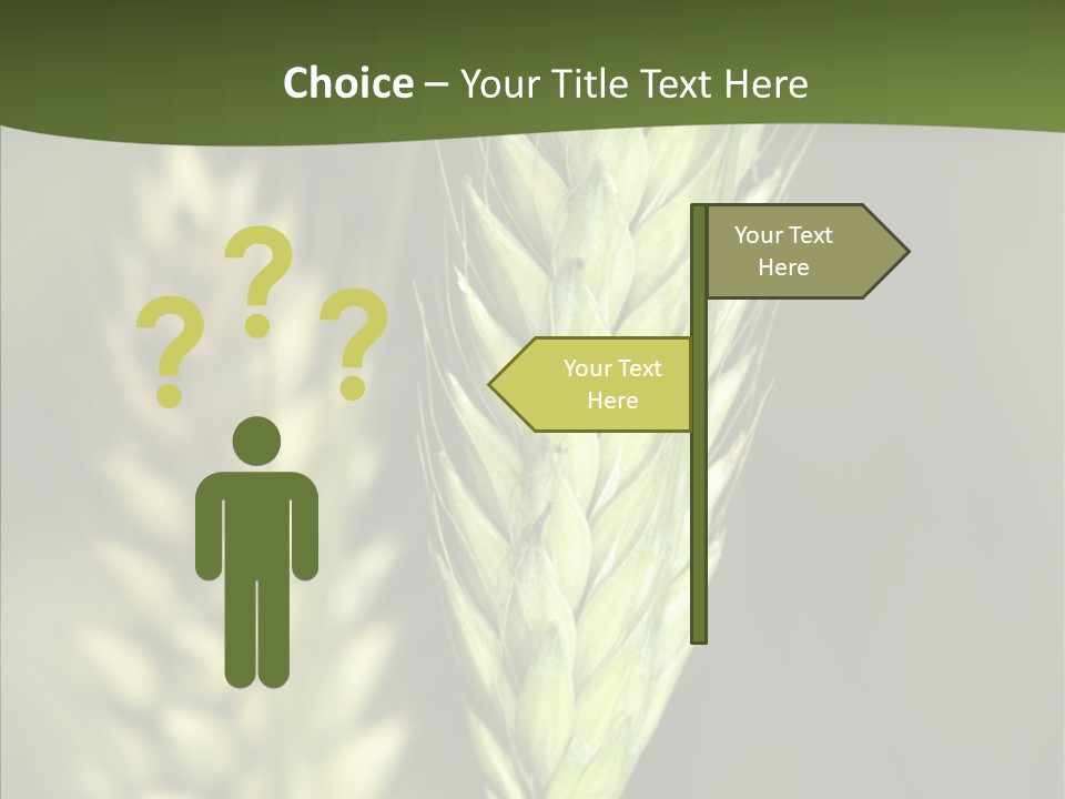 Grain Green Bread PowerPoint Template