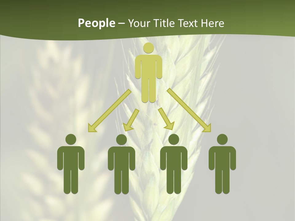 Grain Green Bread PowerPoint Template