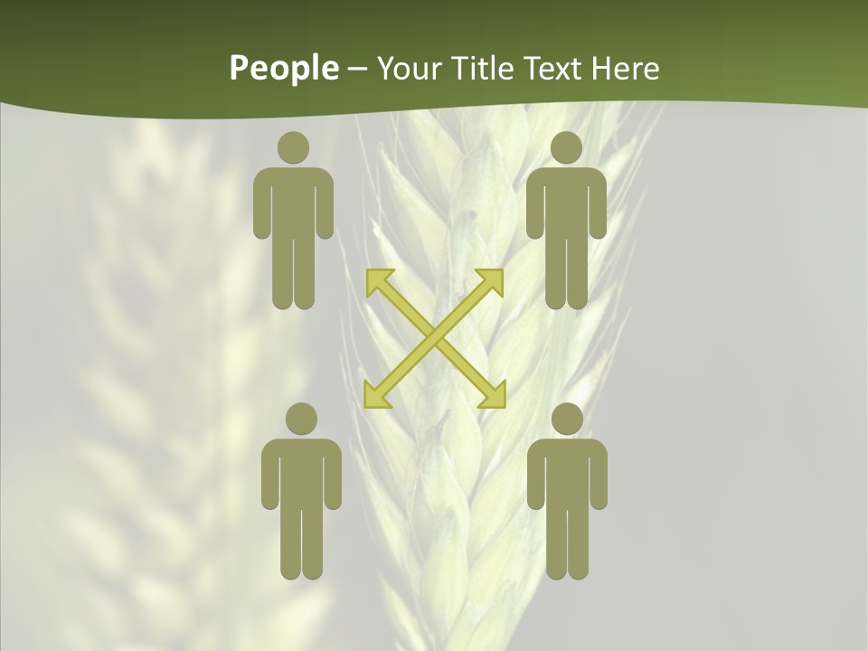 Grain Green Bread PowerPoint Template