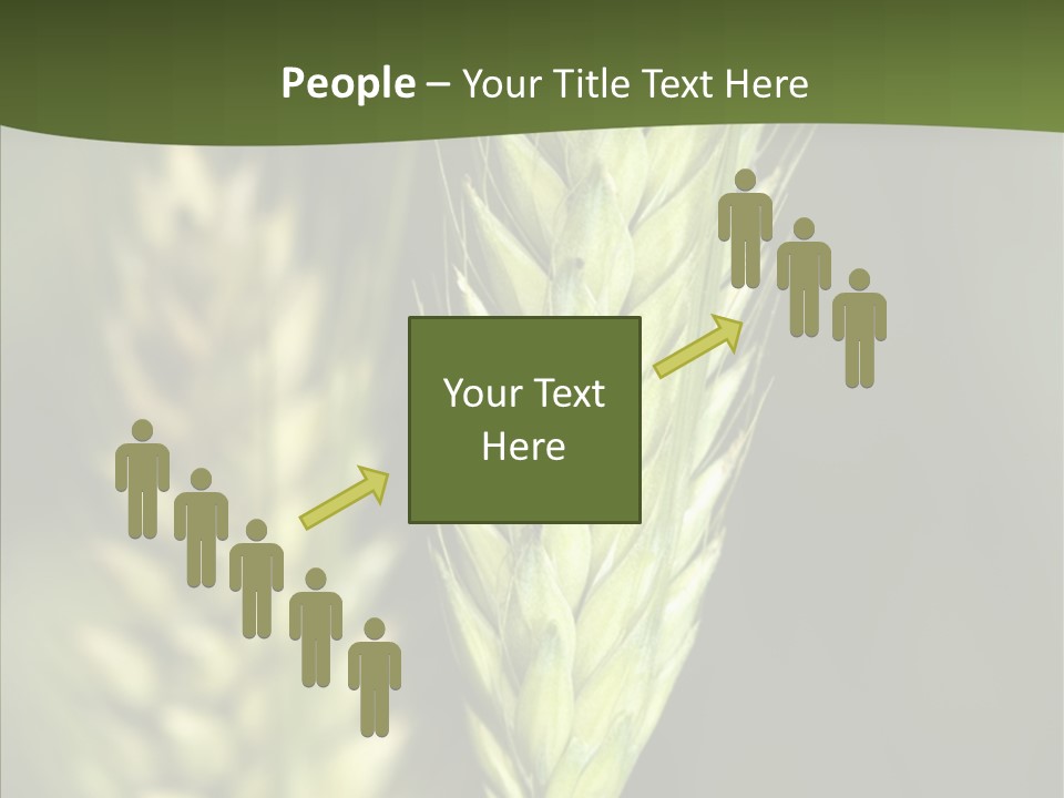 Grain Green Bread PowerPoint Template