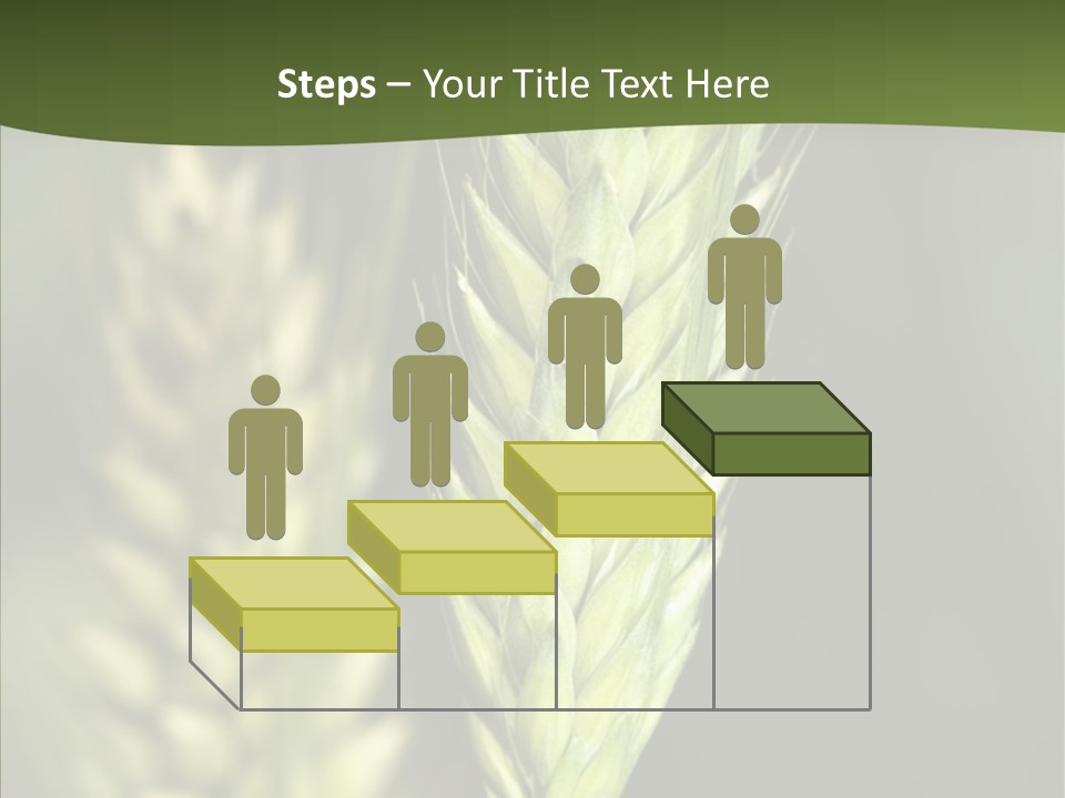 Grain Green Bread PowerPoint Template