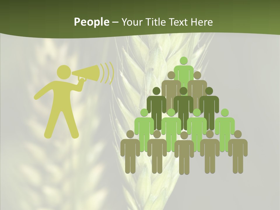 Grain Green Bread PowerPoint Template