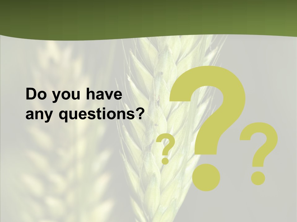 Grain Green Bread PowerPoint Template