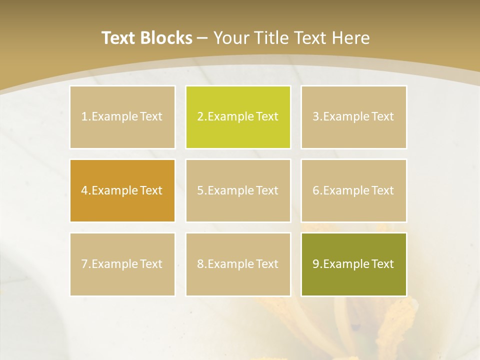 Mountain Spring Blossom PowerPoint Template