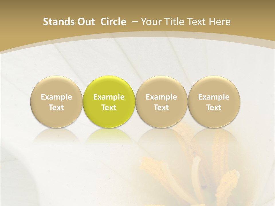 Mountain Spring Blossom PowerPoint Template