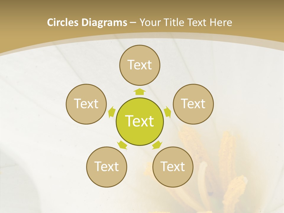 Mountain Spring Blossom PowerPoint Template