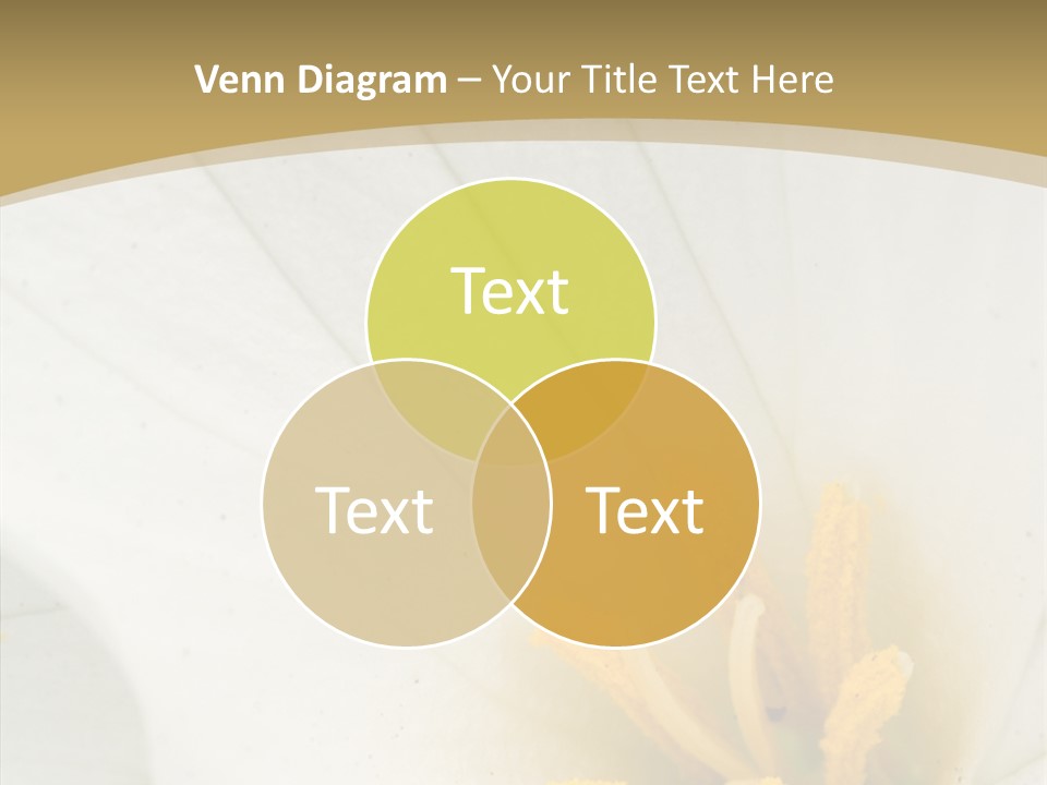 Mountain Spring Blossom PowerPoint Template