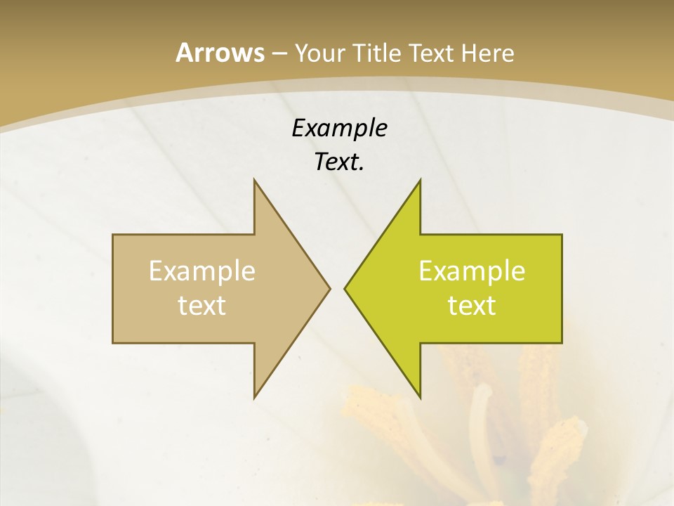 Mountain Spring Blossom PowerPoint Template