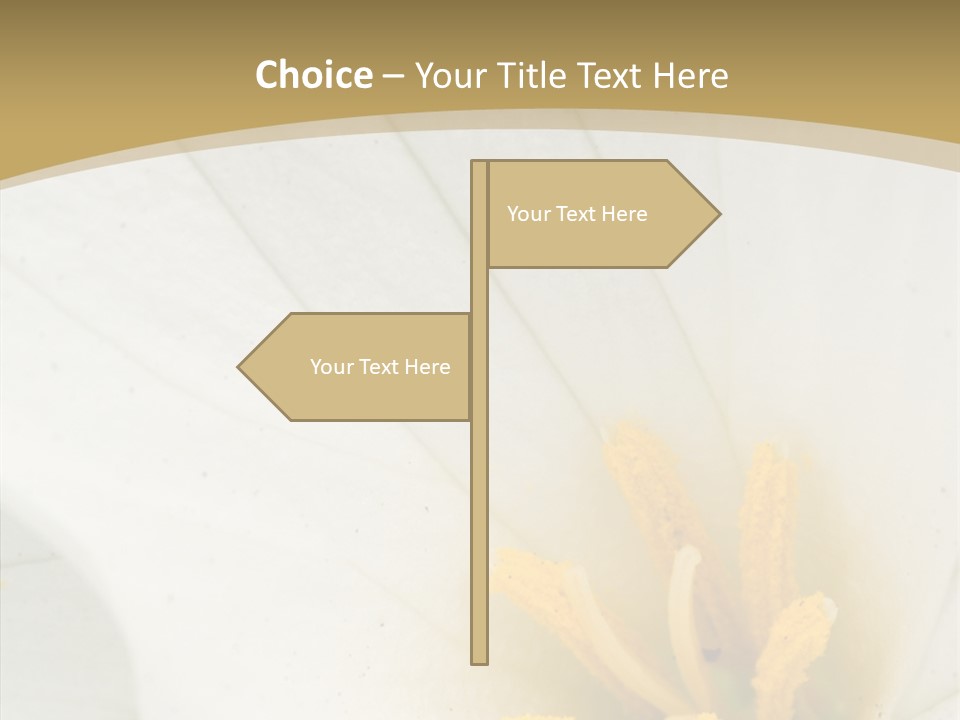 Mountain Spring Blossom PowerPoint Template